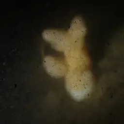 Mediterranean Sea-fingers, photo 10