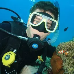 True Percula Clownfish, photo 9