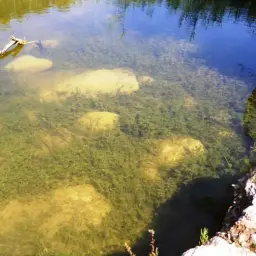 Spanish Toothcarp, photo 3