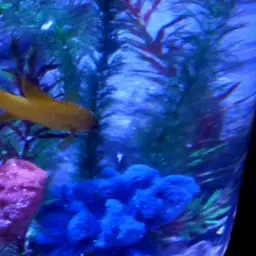 Yellow Devilfish, photo 8