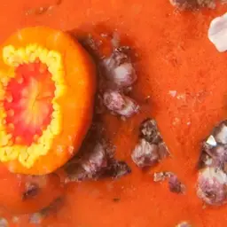 Balanophyllia bonaespei, photo 2