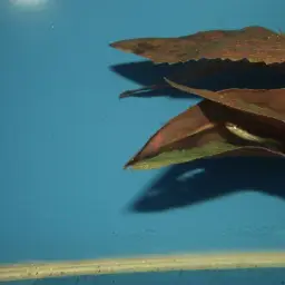 Beautiful Scaled Characin, photo 7