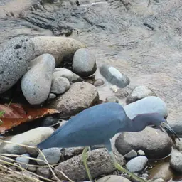 Fat Sleeper, God-a-me, photo 4