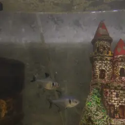 Black phantom tetra, photo 10