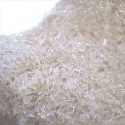 Saffron Coral, photo 3